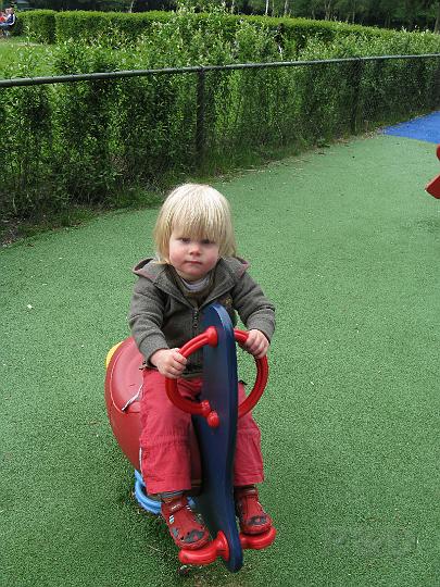 Imme 31 mei 2008 (2).JPG